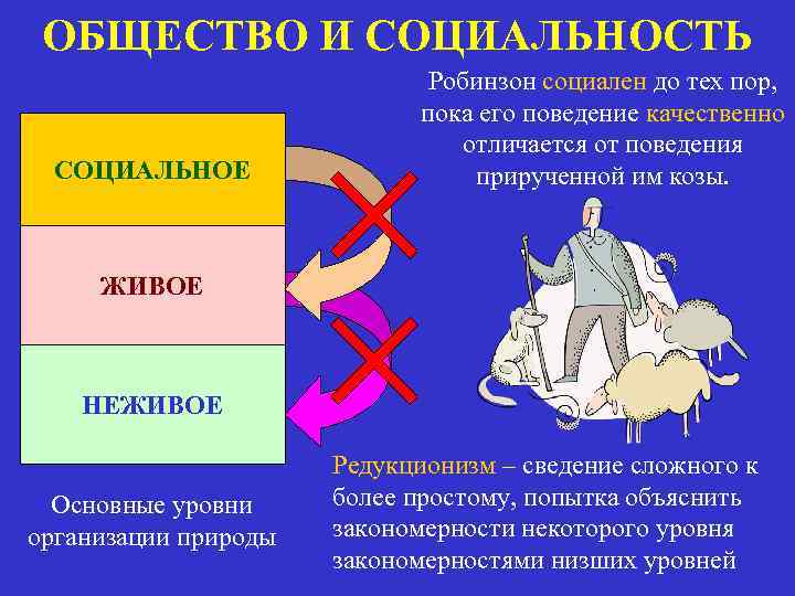 ОБЩЕСТВО И СОЦИАЛЬНОСТЬ СОЦИАЛЬНОЕ Робинзон социален до тех пор, пока его поведение качественно отличается