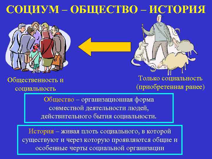 Общество как предмет философии философия истории