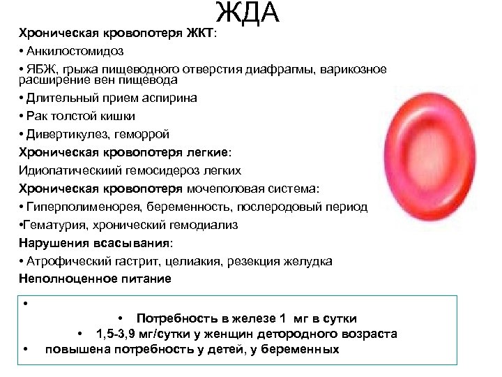 ЖДА Хроническая кровопотеря ЖКТ: • Анкилостомидоз • ЯБЖ, грыжа пищеводного отверстия диафрагмы, варикозное расширение