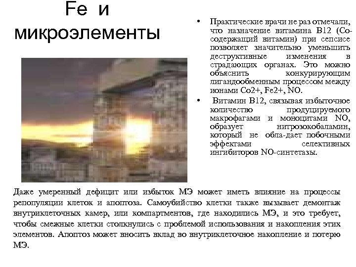 Fe и микроэлементы • • Практические врачи не раз отмечали, что назначение витамина В