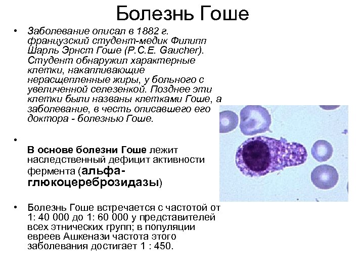 Болезнь гоше презентация генетика