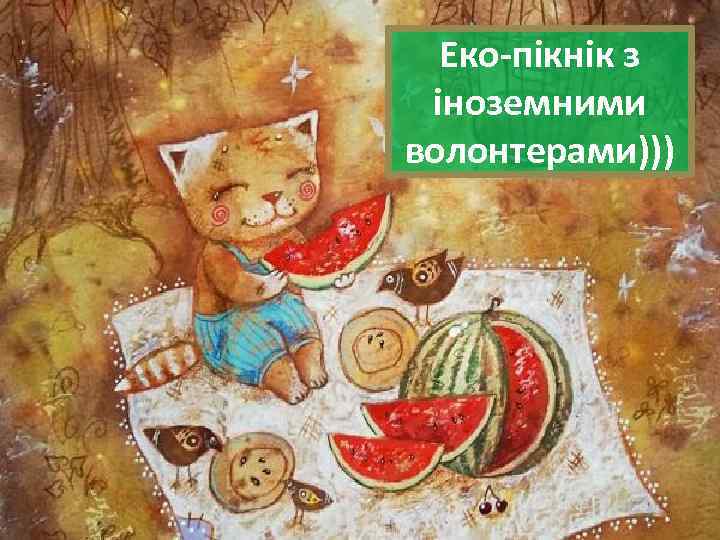 Еко-пікнік з іноземними волонтерами))) 