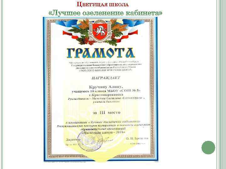 ЦВЕТУЩАЯ ШКОЛА 