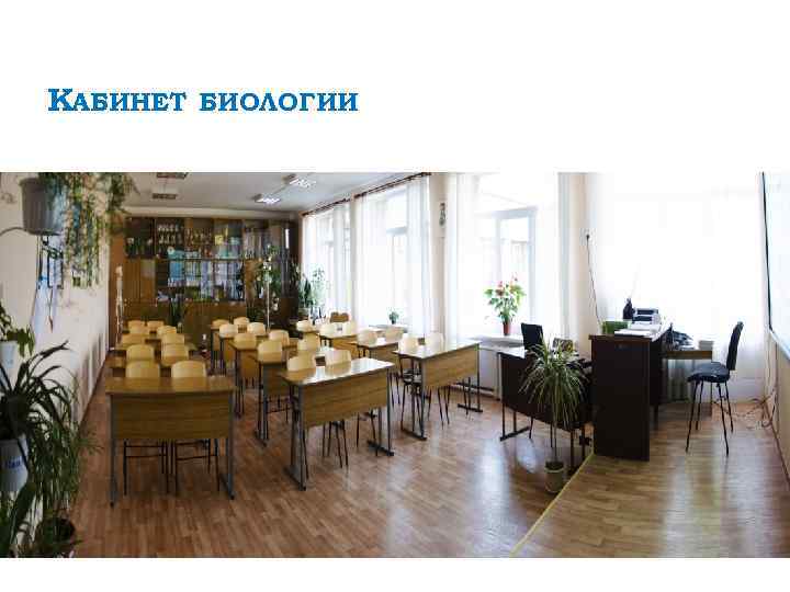 КАБИНЕТ БИОЛОГИИ 