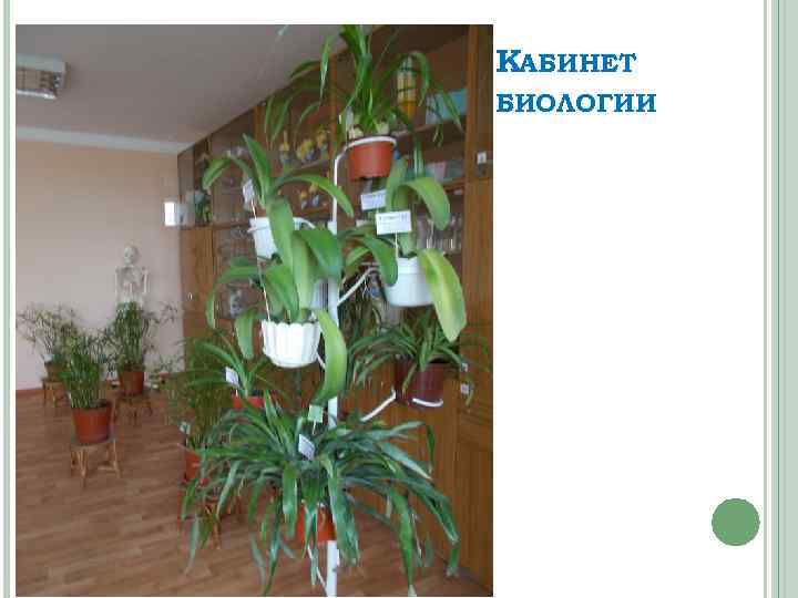 КАБИНЕТ БИОЛОГИИ 