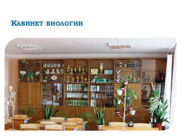 КАБИНЕТ БИОЛОГИИ 