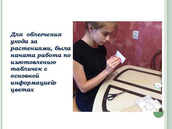 Для облегчения ухода за растениями, была начата работа по изготовлению табличек с основной информацией