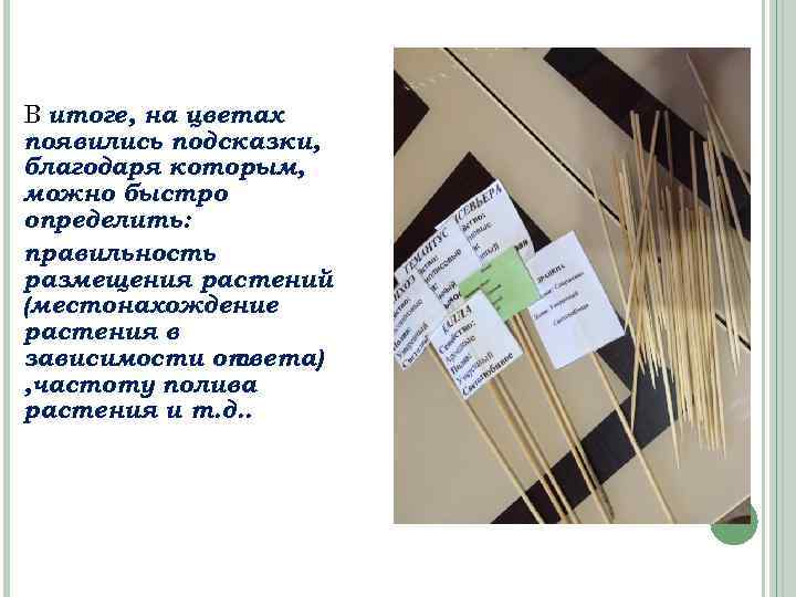 В итоге, на цветах появились подсказки, благодаря которым, можно быстро определить: правильность размещения растений