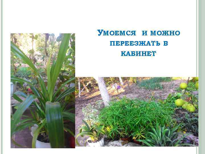 УМОЕМСЯ И МОЖНО ПЕРЕЕЗЖАТЬ В КАБИНЕТ 