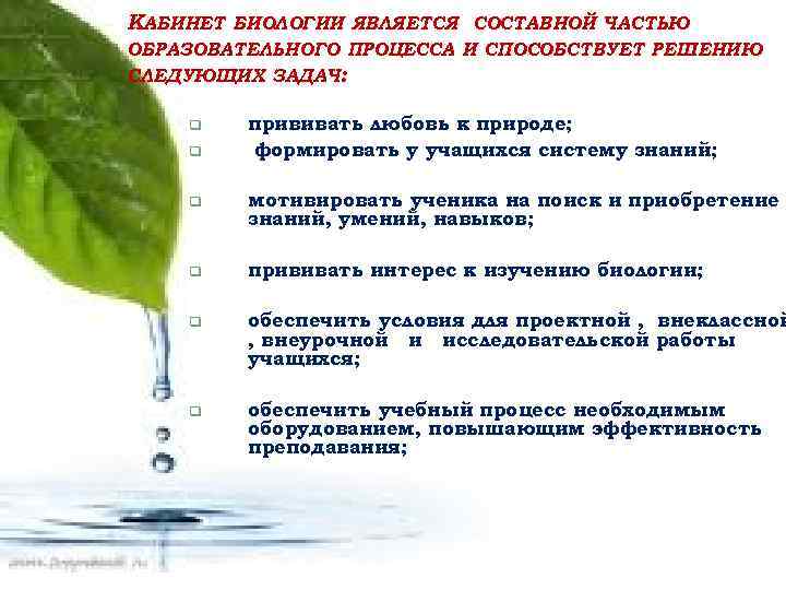 КАБИНЕТ БИОЛОГИИ ЯВЛЯЕТСЯ СОСТАВНОЙ ЧАСТЬЮ ОБРАЗОВАТЕЛЬНОГО ПРОЦЕССА И СПОСОБСТВУЕТ РЕШЕНИЮ СЛЕДУЮЩИХ ЗАДАЧ: q q