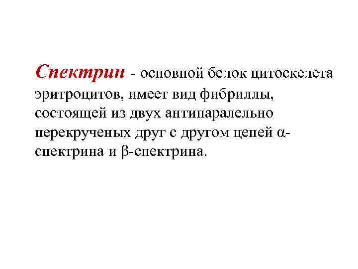 Спектрин - основной белок цитоскелета эритроцитов, имеет вид фибриллы, состоящей из двух антипаралельно перекрученых