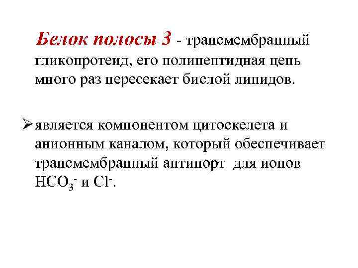 Белок полосы 3 - трансмембранный гликопротеид, его полипептидная цепь много раз пересекает бислой липидов.