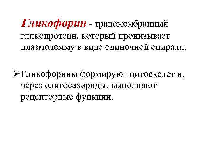 Гликофорин - трансмембранный гликопротеин, который пронизывает плазмолемму в виде одиночной спирали. Ø Гликофорины формируют