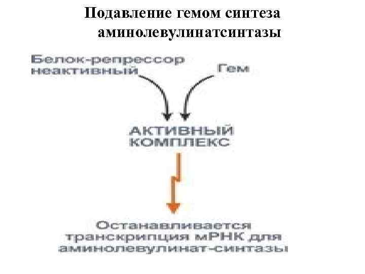 Подавление гемом синтеза аминолевулинатсинтазы 