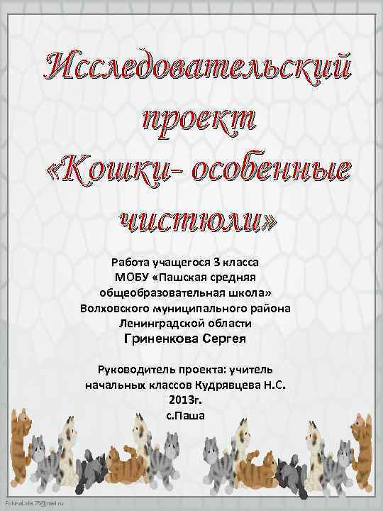 Исследовательский проект «Кошки- особенные чистюли» Работа учащегося 3 класса МОБУ «Пашская средняя общеобразовательная школа»