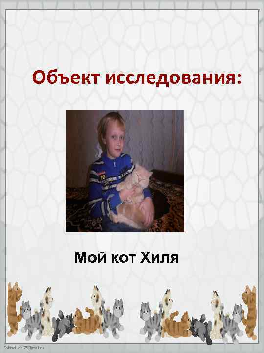 Объект исследования: Мой кот Хиля Fokina. Lida. 75@mail. ru 