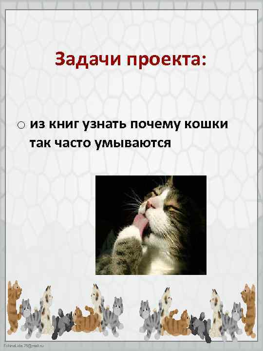 Задачи проекта: o из книг узнать почему кошки так часто умываются Fokina. Lida. 75@mail.