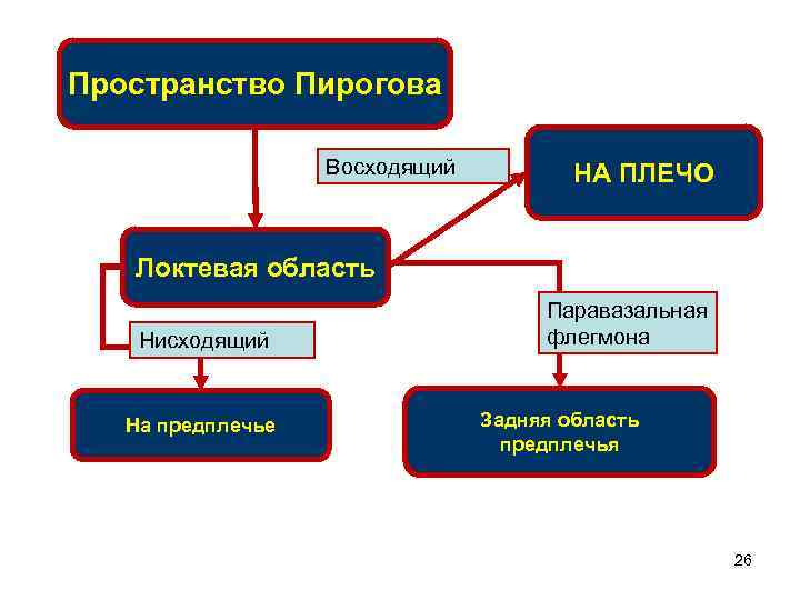 Пространство Пирогова Восходящий НА ПЛЕЧО Локтевая область Нисходящий На предплечье Паравазальная флегмона Задняя область