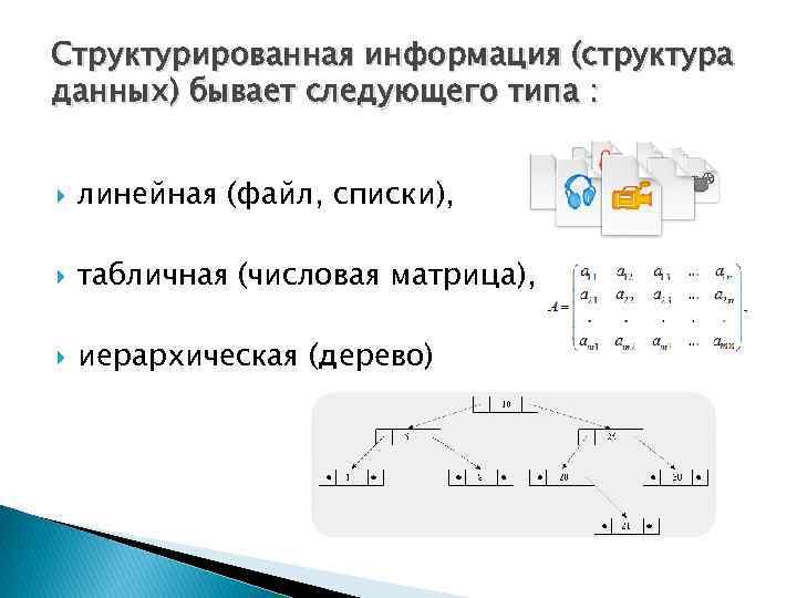 Структурированная информация (структура данных) бывает следующего типа : линейная (файл, списки), табличная (числовая матрица),