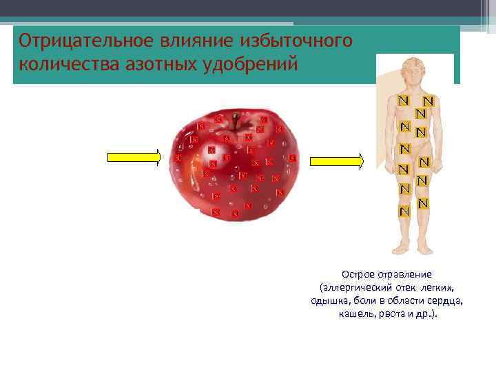 Отрицательное влияние избыточного количества азотных удобрений Острое отравление (аллергический отек легких, одышка, боли в