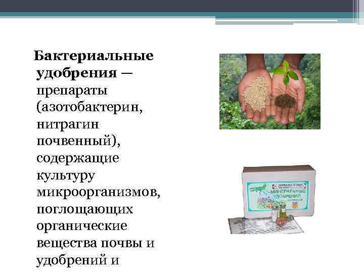 Бактериальные удобрения — препараты (азотобактерин, нитрагин почвенный), содержащие культуру микроорганизмов, поглощающих органические вещества почвы