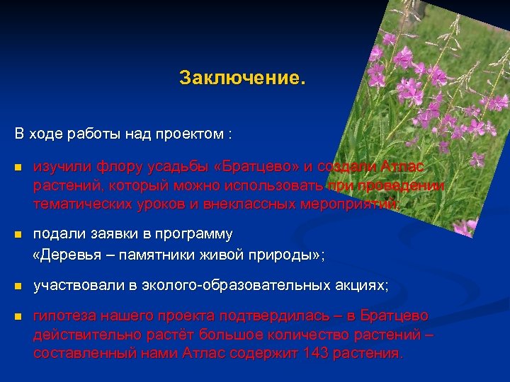 Заключение. В ходе работы над проектом : n изучили флору усадьбы «Братцево» и создали