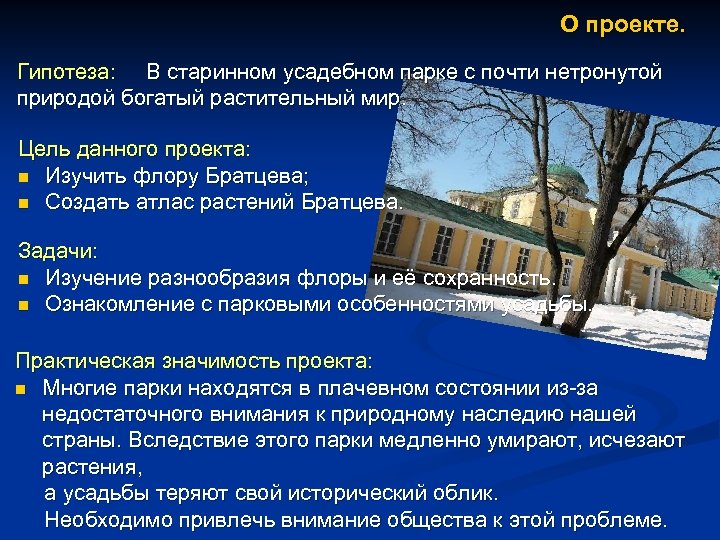 О проекте. Гипотеза: В старинном усадебном парке с почти нетронутой природой богатый растительный мир.