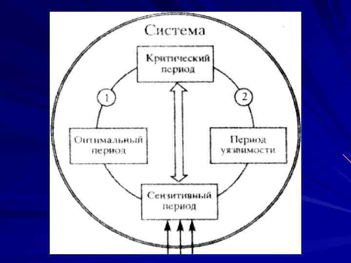 Какой из видов знания в наибольшей степени характеризует каждый из рисунков