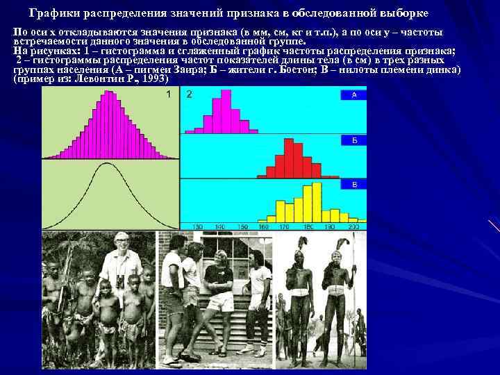  Графики распределения значений признака в обследованной выборке По оси х откладываются значения признака