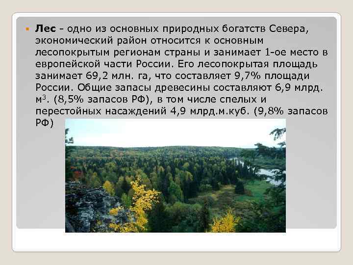  Лес - одно из основных природных богатств Севера, экономический район относится к основным