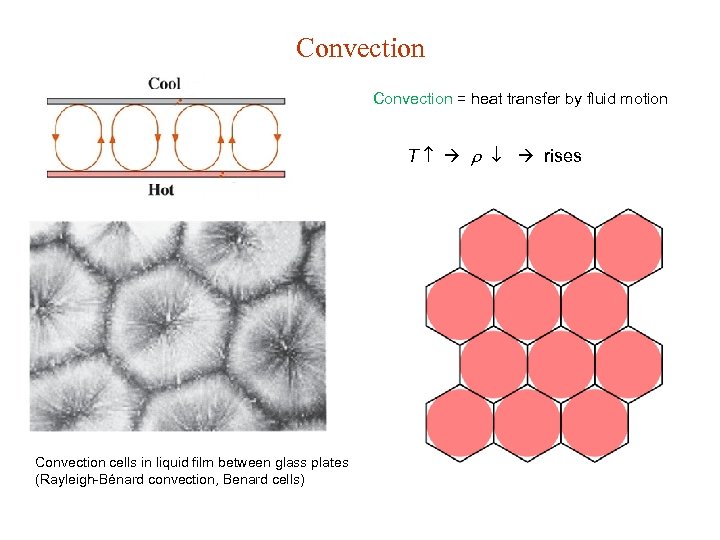 Convection = heat transfer by fluid motion T rises Convection cells in liquid film