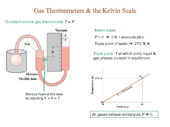 Gas Thermometers & the Kelvin Scale Constant volume gas thermometer T P Kelvin scale: