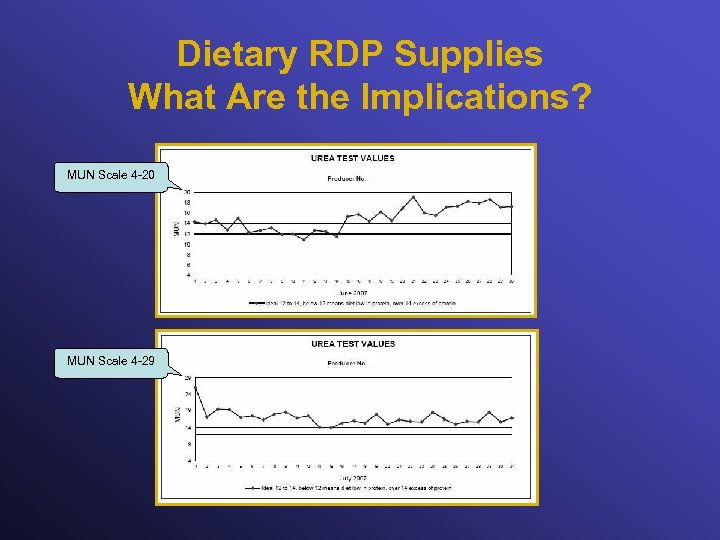 Dietary RDP Supplies What Are the Implications? MUN Scale 4 -20 MUN Scale 4