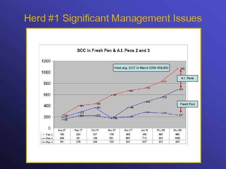 Herd #1 Significant Management Issues Herd avg. SCC in March 2008 469, 000 A.