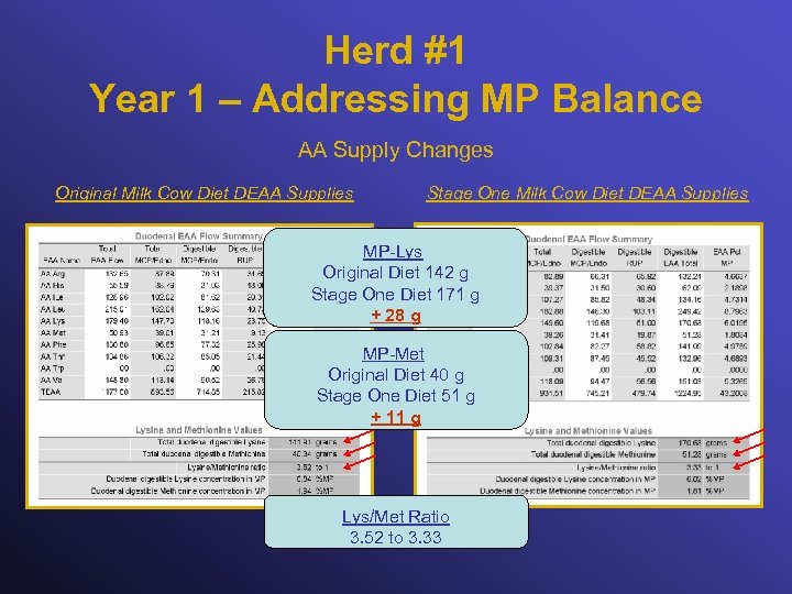 Herd #1 Year 1 – Addressing MP Balance AA Supply Changes Original Milk Cow