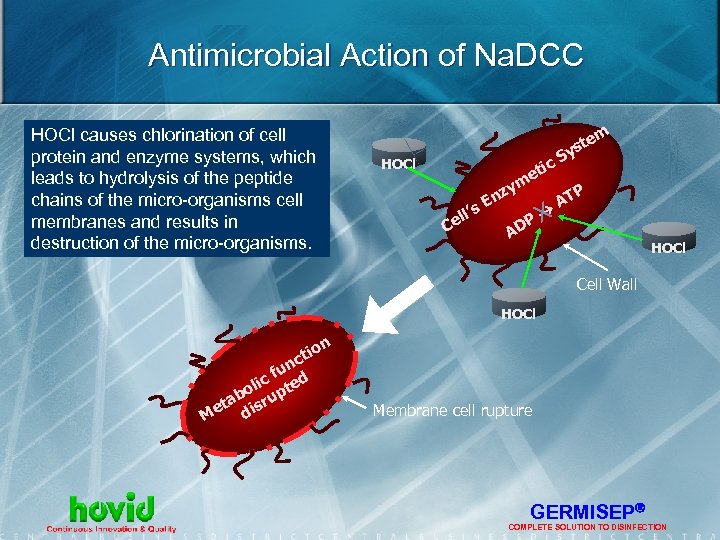 Antimicrobial Action of Na. DCC HOCl causes chlorination of cell protein and enzyme systems,