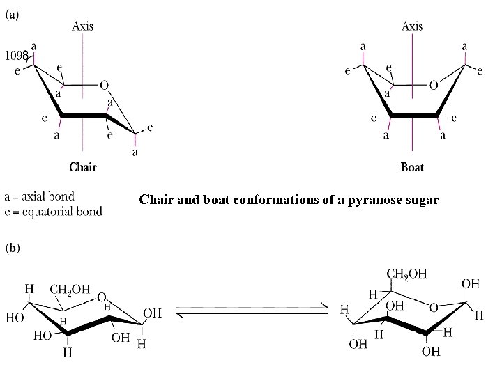 Chair and boat conformations of a pyranose sugar 