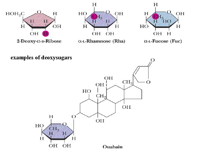 examples of deoxysugars 