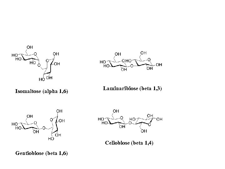 Isomaltose (alpha 1, 6) Laminaribiose (beta 1, 3) Cellobiose (beta 1, 4) Gentiobiose (beta