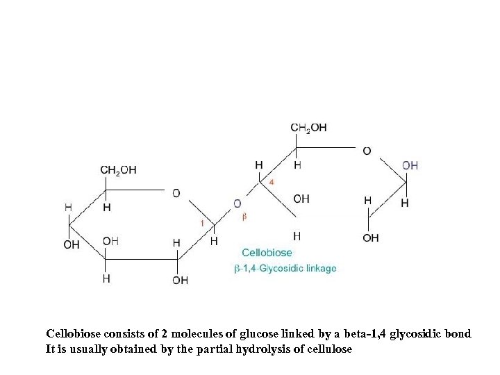 Cellobiose consists of 2 molecules of glucose linked by a beta-1, 4 glycosidic bond