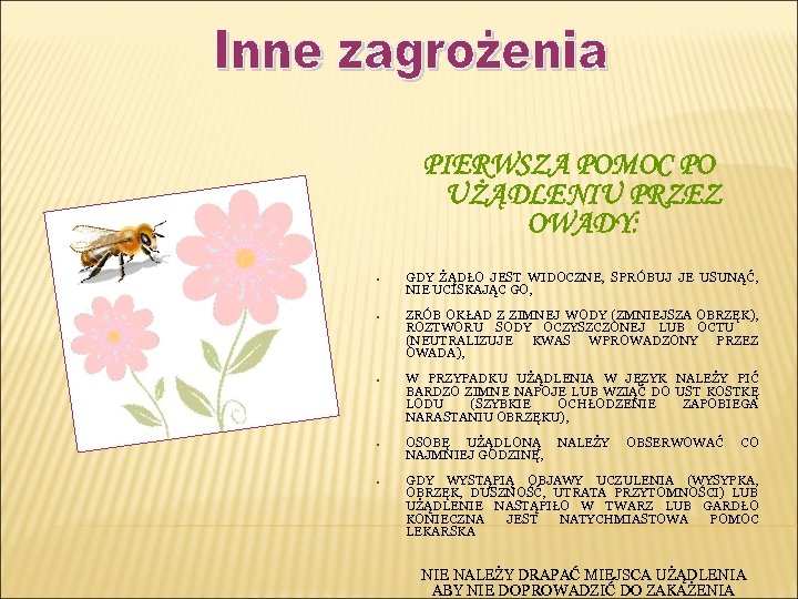 PIERWSZA POMOC PO UŻĄDLENIU PRZEZ OWADY: • GDY ŻĄDŁO JEST WIDOCZNE, SPRÓBUJ JE USUNĄĆ,