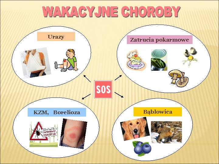 Urazy KZM, Borelioza Zatrucia pokarmowe Bąblowica 