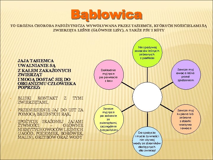 TO GROŹNA CHOROBA PASOŻYTNICZA WYWOŁYWANA PRZEZ TASIEMCE, KTÓRYCH NOSICIELAMI SĄ ZWIERZĘTA LEŚNE (GŁÓWNIE LISY),