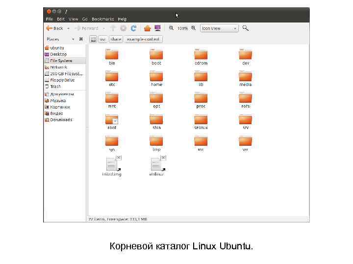 Корневой каталог Linux Ubuntu. 