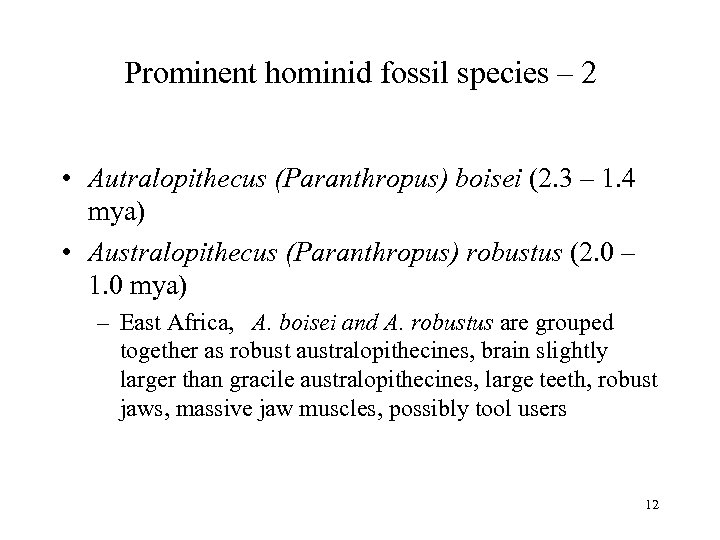Prominent hominid fossil species – 2 • Autralopithecus (Paranthropus) boisei (2. 3 – 1.