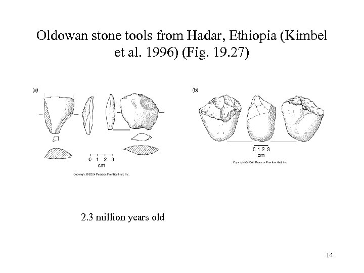Oldowan stone tools from Hadar, Ethiopia (Kimbel et al. 1996) (Fig. 19. 27) 2.