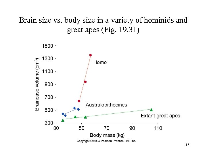 Brain size vs. body size in a variety of hominids and great apes (Fig.