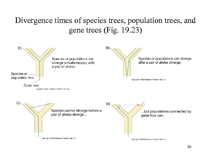 Divergence times of species trees, population trees, and gene trees (Fig. 19. 23) 26