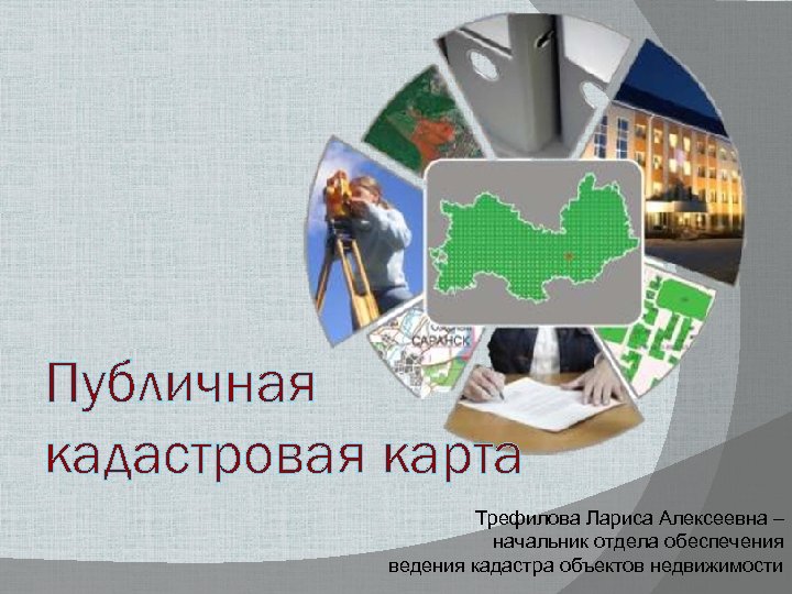 Публичная кадастровая карта Трефилова Лариса Алексеевна – начальник отдела обеспечения ведения кадастра объектов недвижимости
