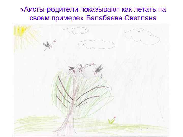  «Аисты-родители показывают как летать на своем примере» Балабаева Светлана 